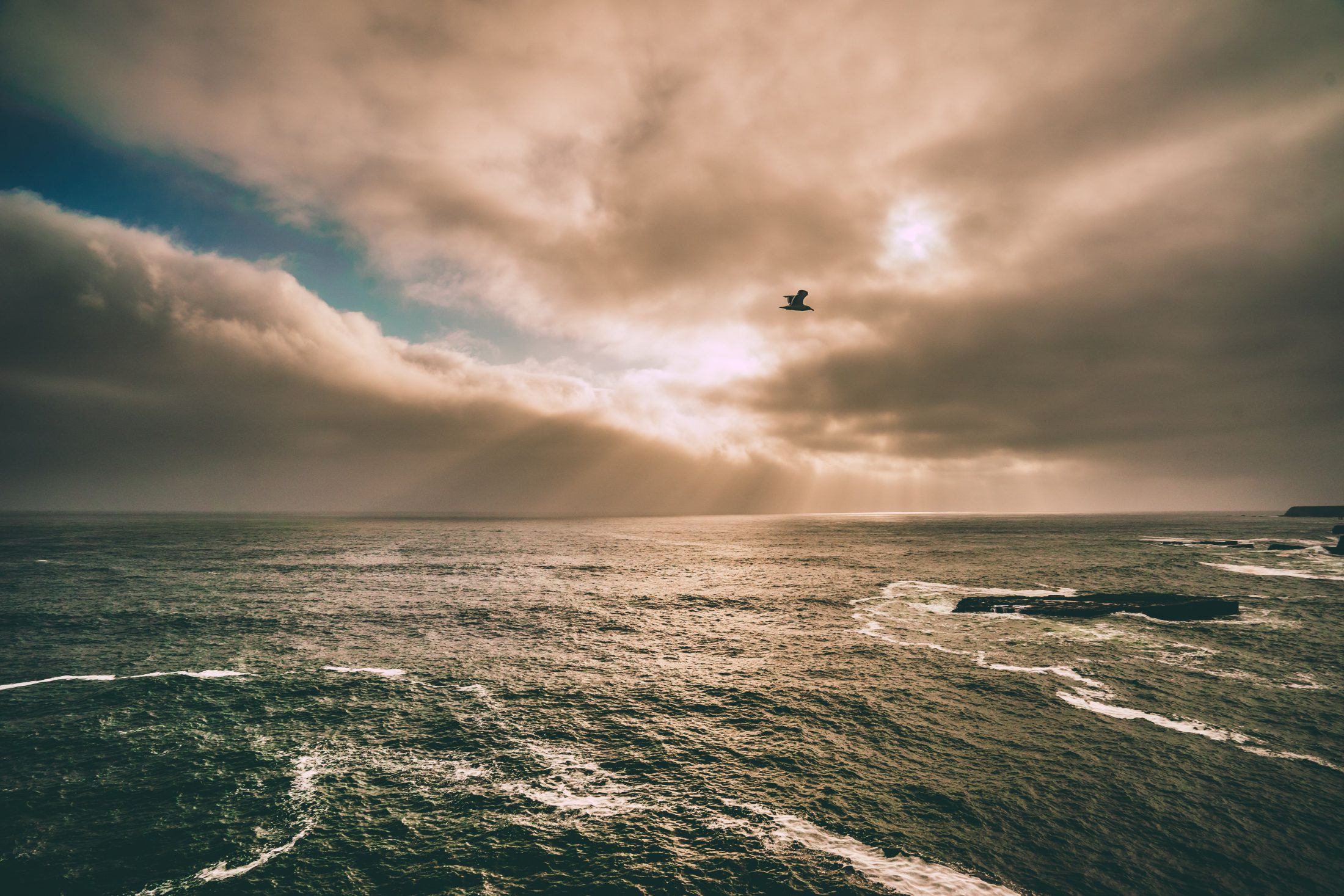 Ocean